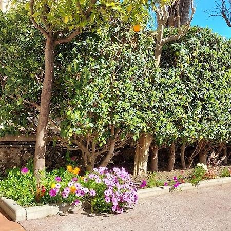 Rez-De-Chaussee Privatif Spacieux 3* D'Une Villa Centre Ville Hyères Buitenkant foto