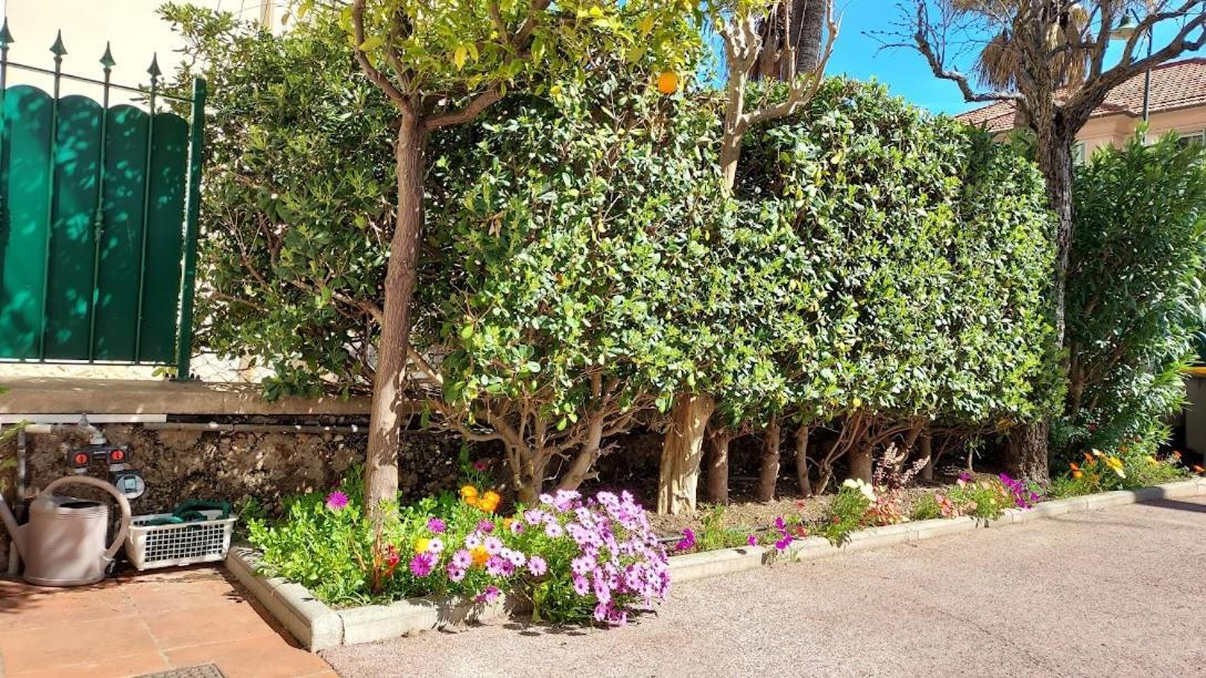 Rez-De-Chaussee Privatif Spacieux 3* D'Une Villa Centre Ville Hyères Buitenkant foto